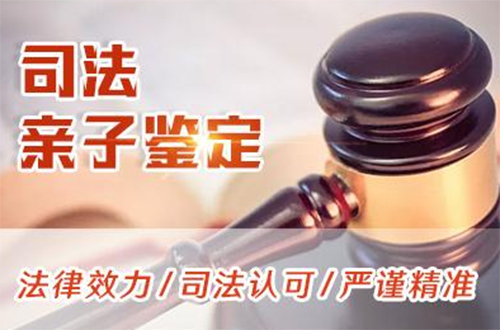 嘉兴司法亲子鉴定要如何办理,嘉兴司法亲子鉴定要多少钱的费用