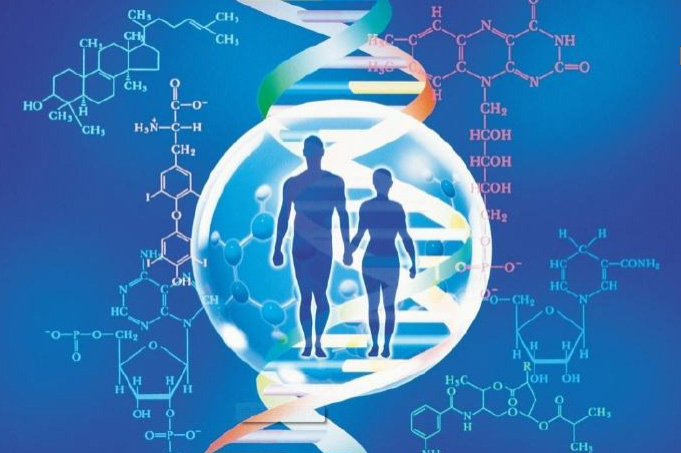 嘉兴DNA鉴定多久可以拿到结果,嘉兴隐私亲子鉴定办理方式